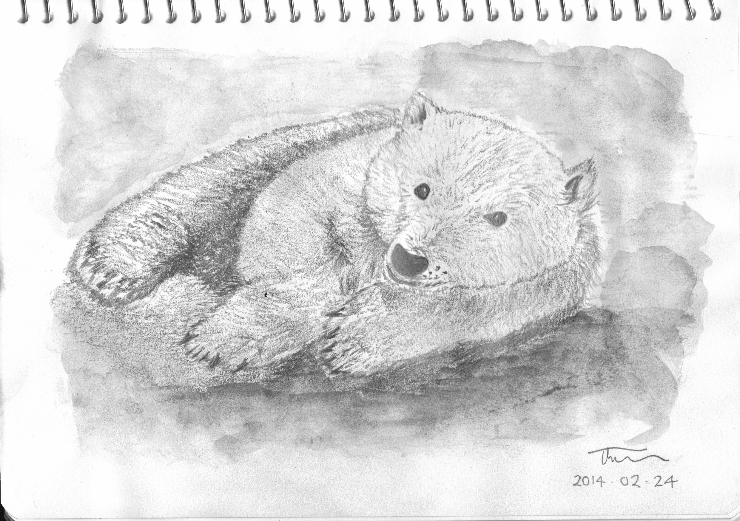 Polar Cub featured image